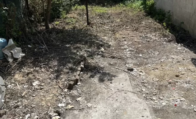 Débarras complet d’un jardin près d’Amiens, Amiens, Elite Débarras