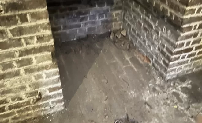 Débarras intégral d’une cave et d’un cabanon sur Amiens , Amiens, Elite Débarras