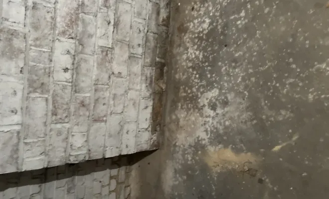 débarras d'une cave sur Amiens : 15 mètres cubes évacués en deux heures, Amiens, Elite Débarras